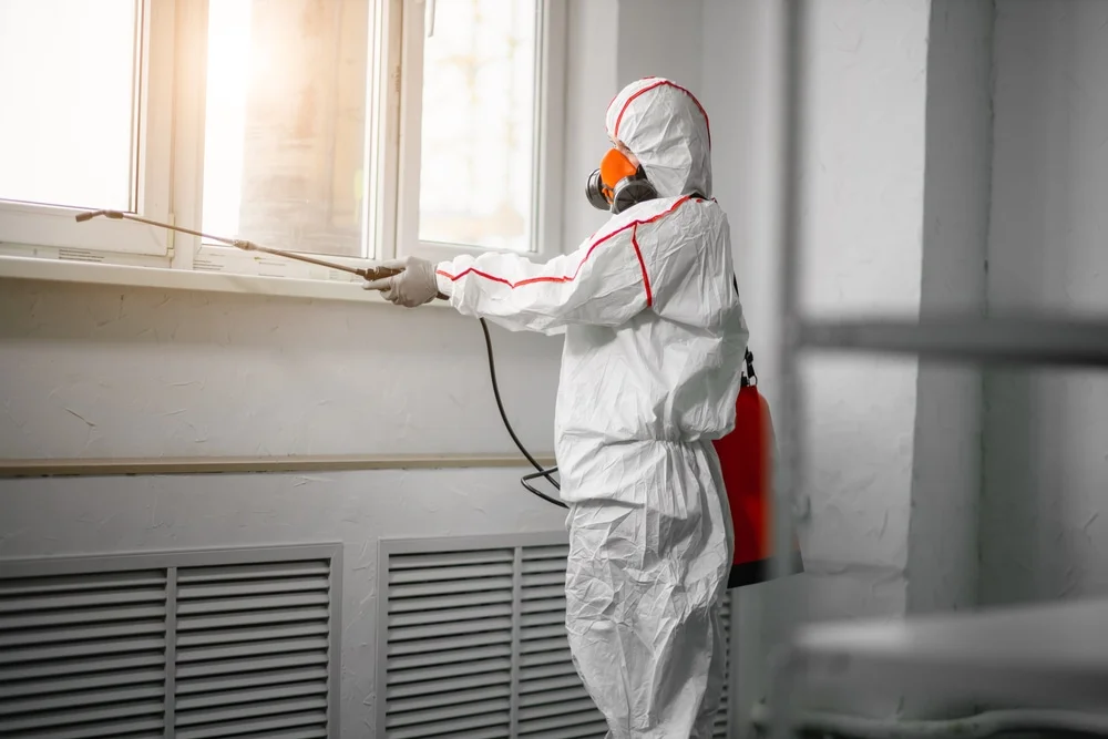 Professional mold remediation services in Barhamsville, VA